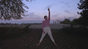 Related Embedded Video Item Thumbnail
