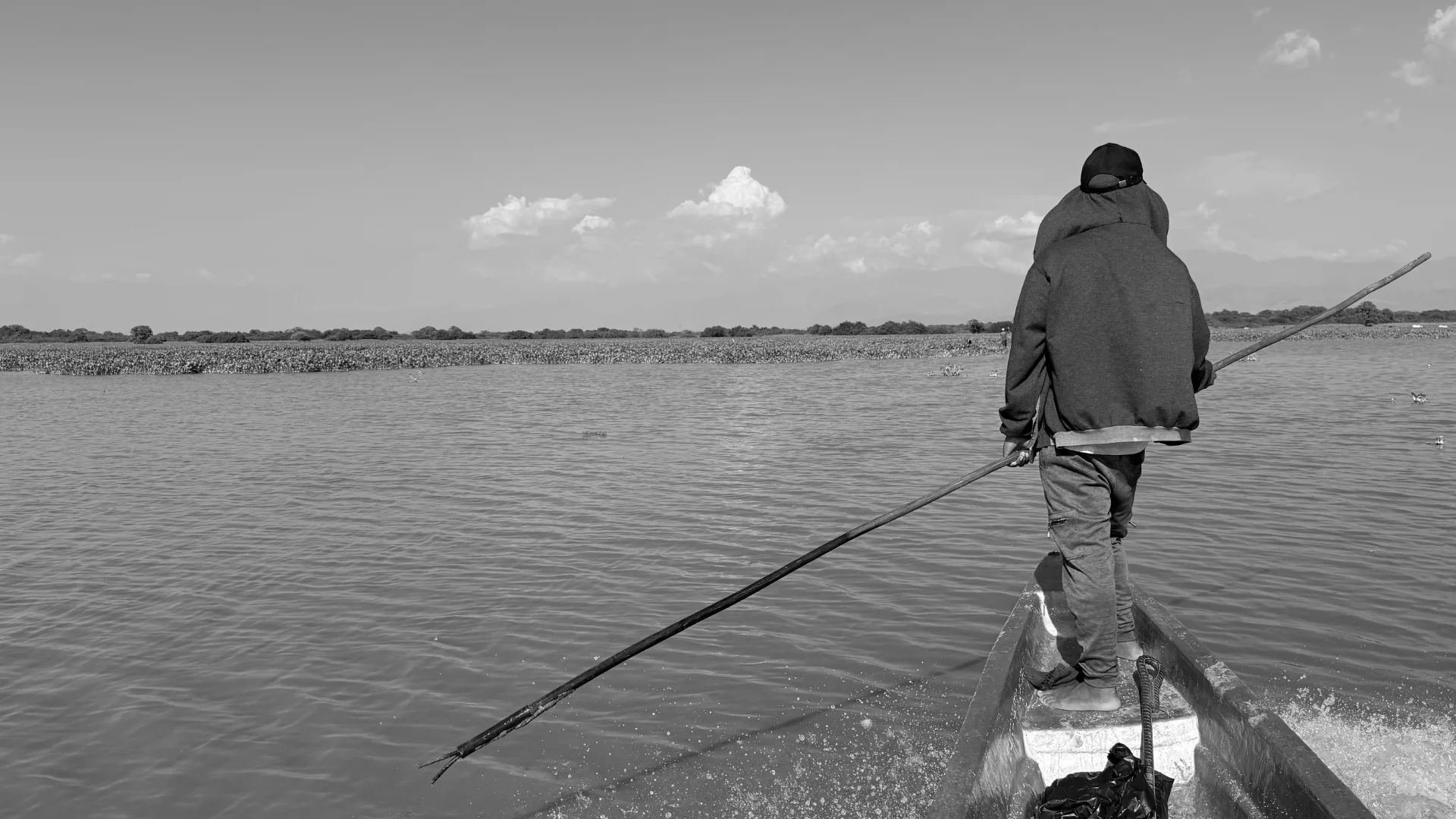 Voices of the Marsh | Development Teaser | Videos & Movies on Vimeo
