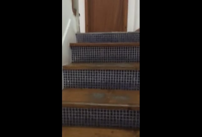 Video 1: 