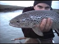 Seatrout Fishing in Iceland