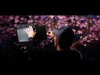 Sakura - Christian A. Lang