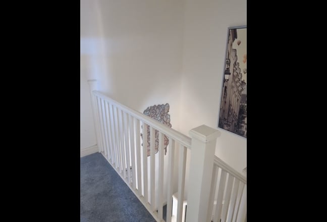 Video 1: Shared living room