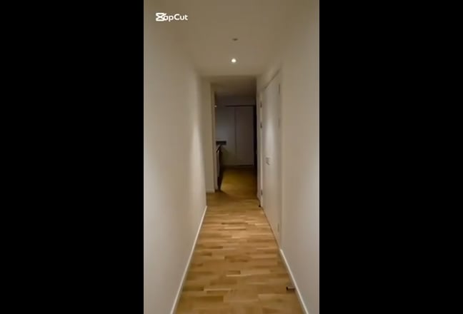 Video 1: 