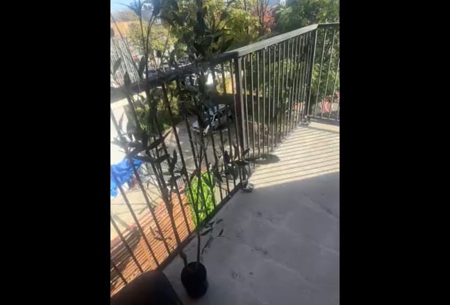 Cozy apartment in East Flatbush near 2/5 line Main Photo