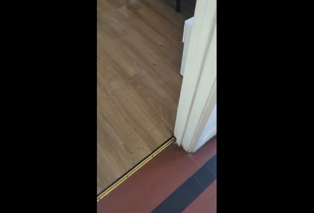 Video 1: 