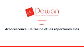 arborescence : la racine et les répertoires clés