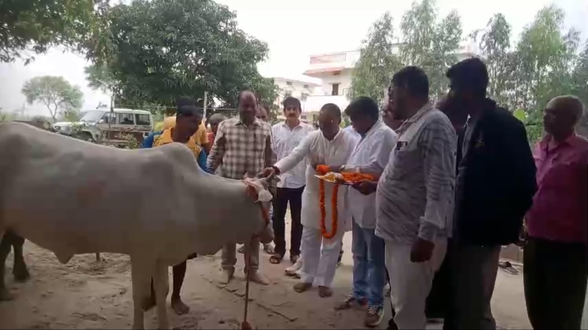बेलहरी ब्लाक के बघउच्च ग्राम सभा मे पंडित दिन दयाल उपाध्याय एक दिवसीय पशु आरोग्य शिविर का किया गया आयोजन