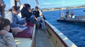 Alumnes  l'institut de Cadaqués alliberen deu taurons gat que han criat
