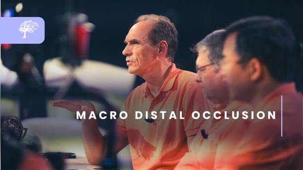 Macro Distal Occlusion