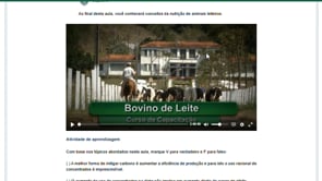 Prévia em vídeo do curso