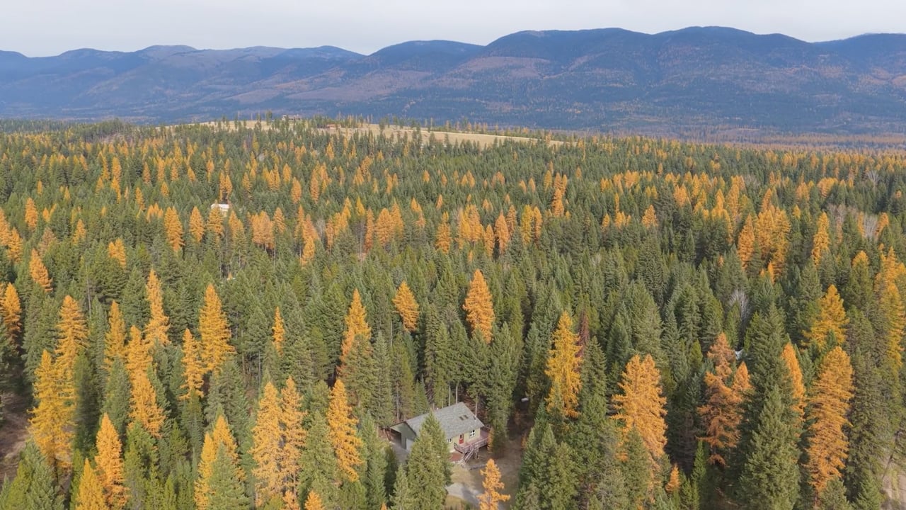 600 Lupfer Rd Whitefish, Montana