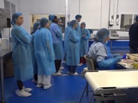 L'Escala acull 'Cuina d'aquí' amb joves aspirants a cuiners coneguent el peix