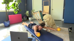 Related Embedded Video Item Thumbnail