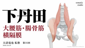 下丹田と不動心｜大腰筋・腸骨筋・横隔膜｜令和8年10月29日