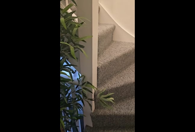 Newly refurbished Ensuite Double room Main Photo