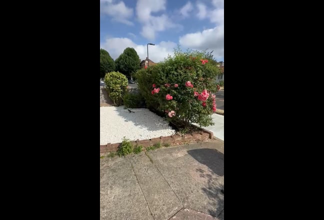 Video 1: 