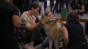 Related Embedded Video Item Thumbnail