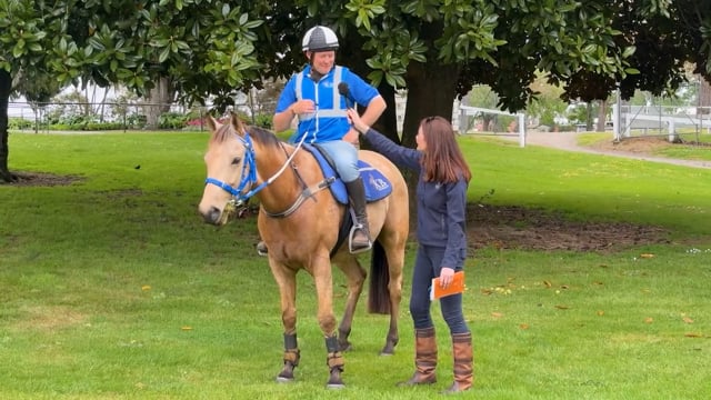 2026 Ready to Run Sale | KB Bloodstock