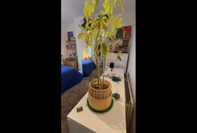 Video 1: 