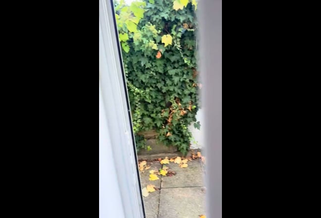 Video 1: 