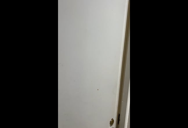 Large double room for single person Main Photo