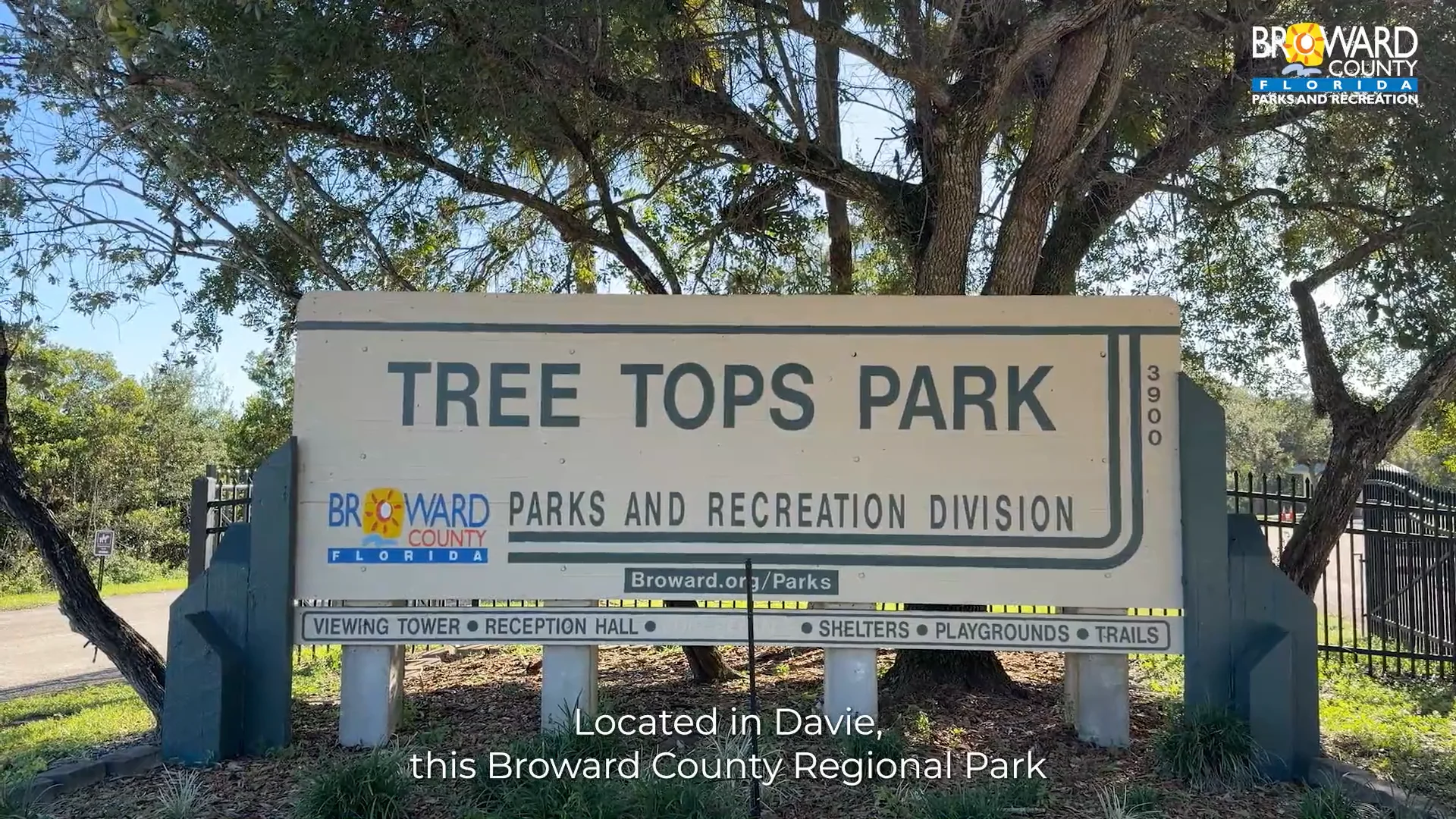 November Park Highlights - Tree Top Park (Open Caption) | Videos ...