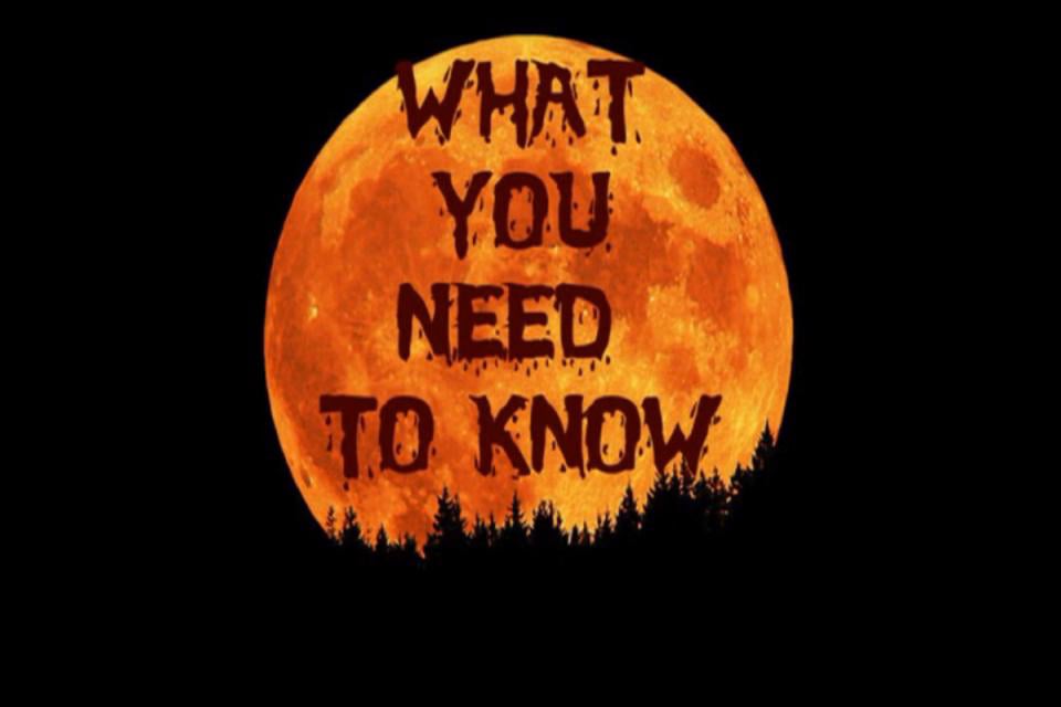 Halloween Backstory 2011 on Vimeo