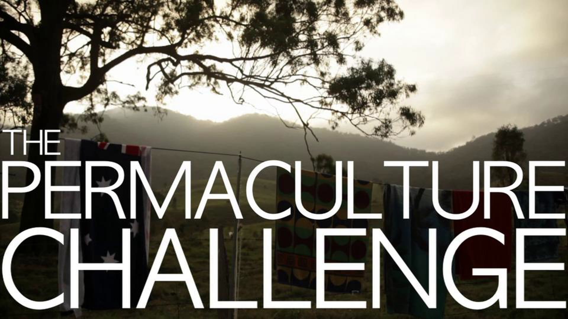 The Permaculture Challenge, 2011