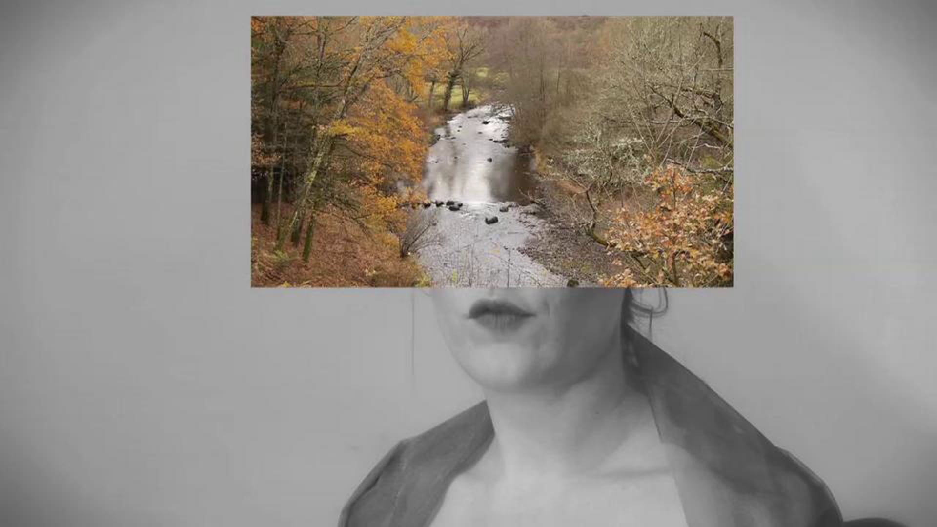 MONKEY ANNA - I love pop!