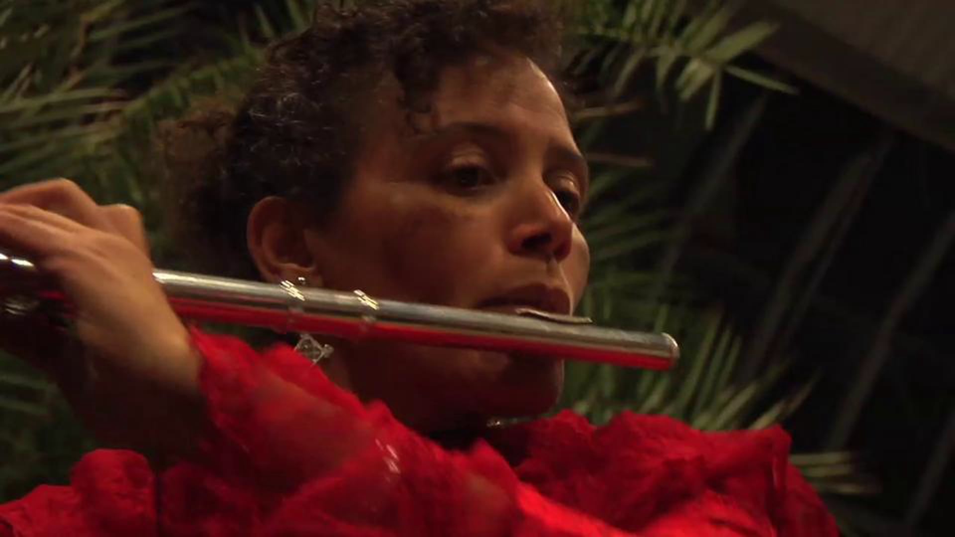 Nicole Mitchell: Harriet Tubman - Flight to Freedom