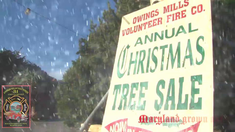 Owings Mills Volunteer Fire Company hosts Ravens Pep Band for Christmas  tree sale