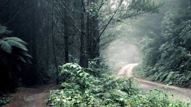 Trailnotes - Now Available On iTunes And DVD