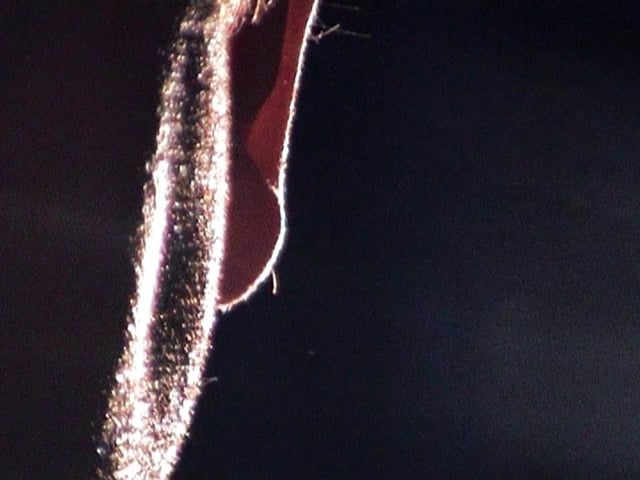 Vimeo thumbnail