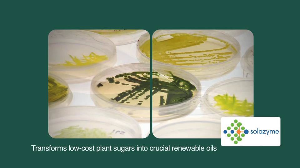 A new business marketing video for Keating Investments produced by www