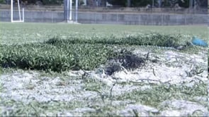 El canvi de gespa del camp municipal en espera