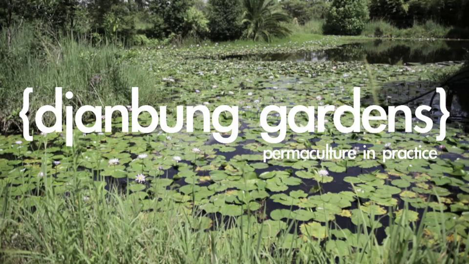 Robyn Francis / Djanbung Gardens / Permaculture College