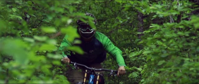 Alex Pro 5 Days In Pemby from leo hoorn