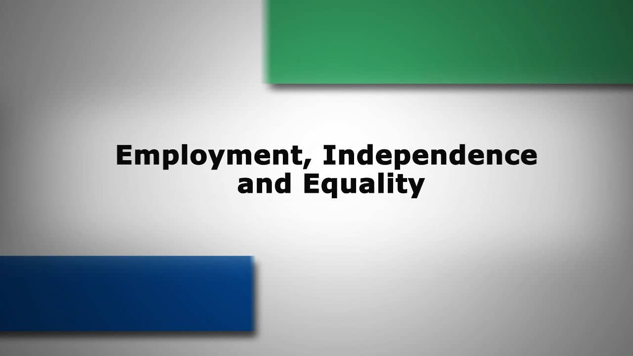 employment-independence-and-equality-on-vimeo