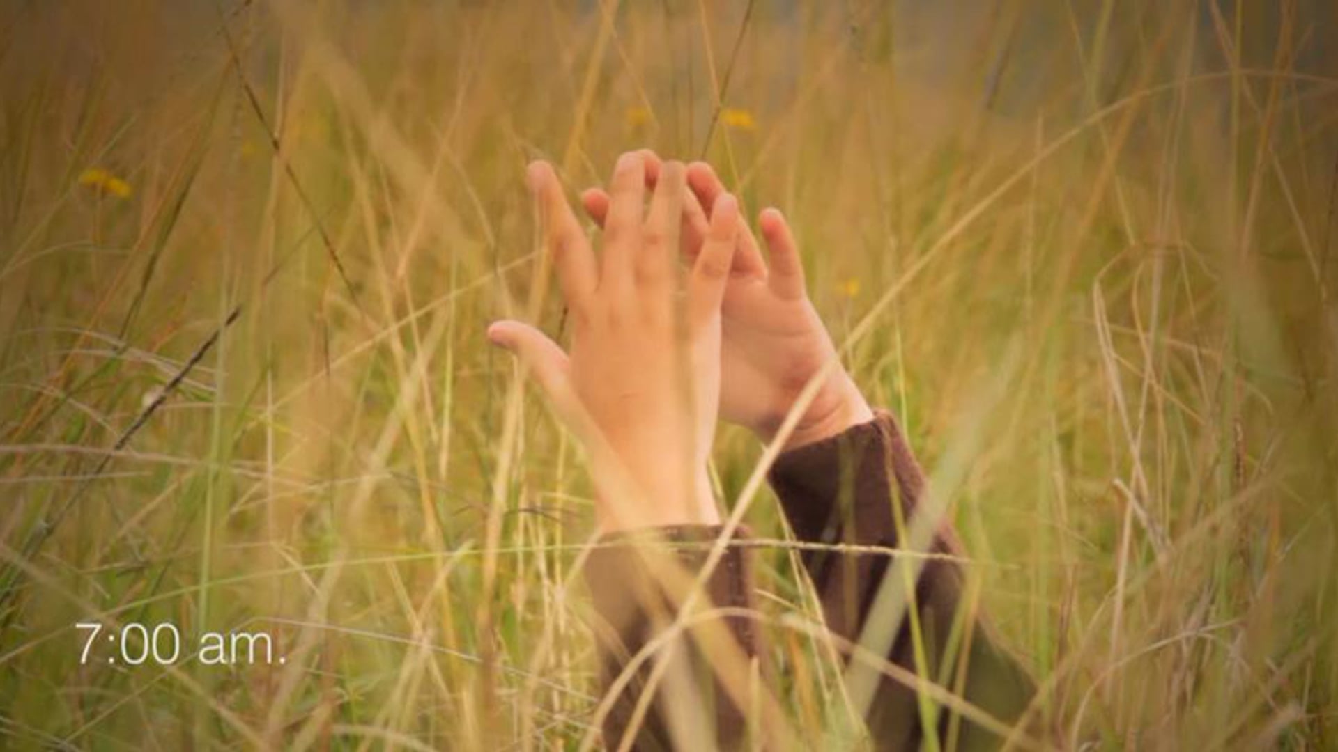 El día de la lluvia - Cortometraje