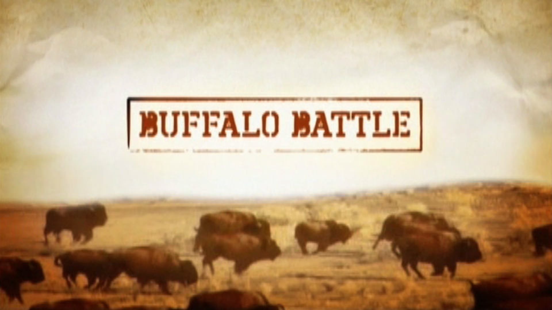 Buffalo Battle