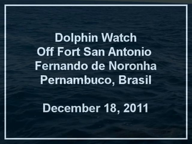 Dolphin Watch Off Fort San Antonio, Sunset at Praia do Meio, Fernando de Noronha, Pernambuco, Brasil