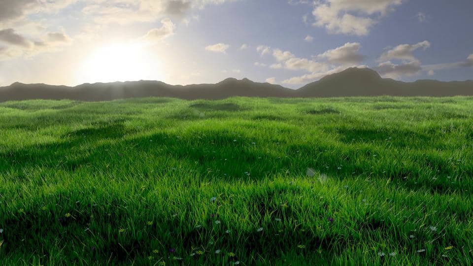 Animated Field of Grass on Vimeo