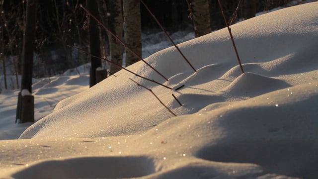 Виж видео клипа