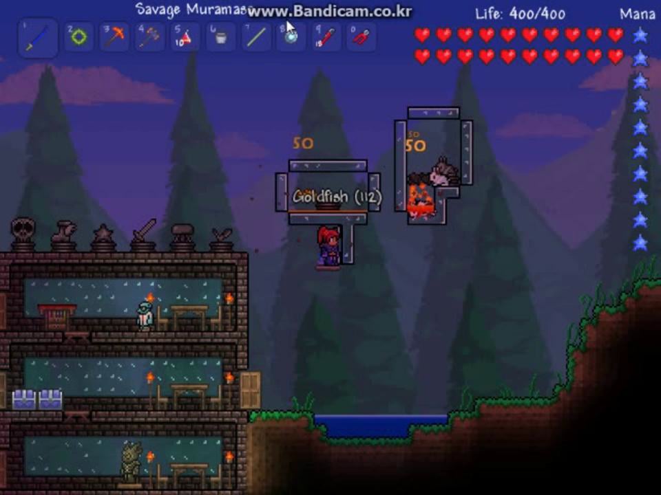 Terraria Goldfish farm with Bunny Timer on Vimeo