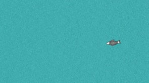 The Lonely Fisherman [2011]