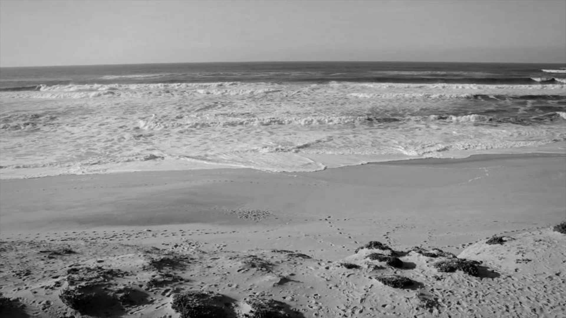 A Realidade Encarregou-se de Corrigir as Perspectivas