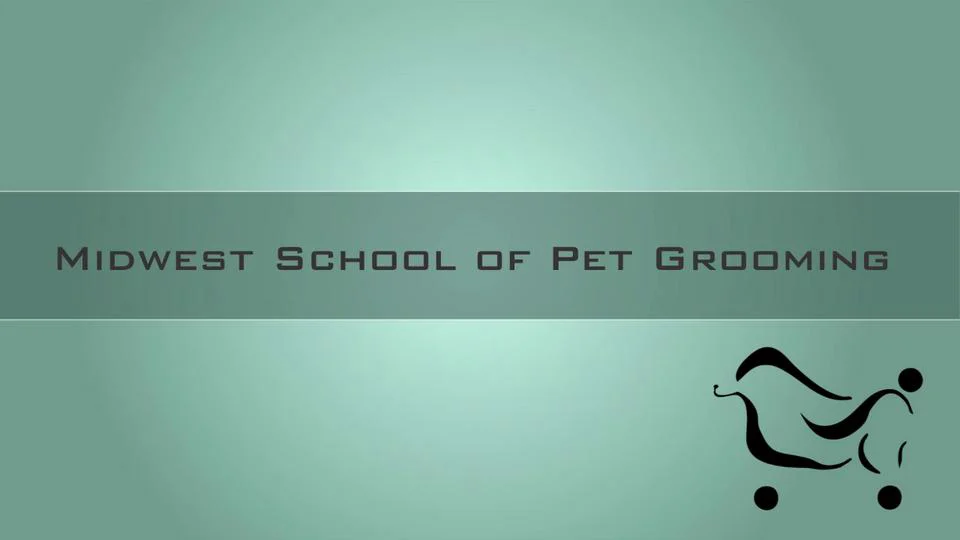 Midwest School of Pet Grooming Student Testimonial Illinois Dog