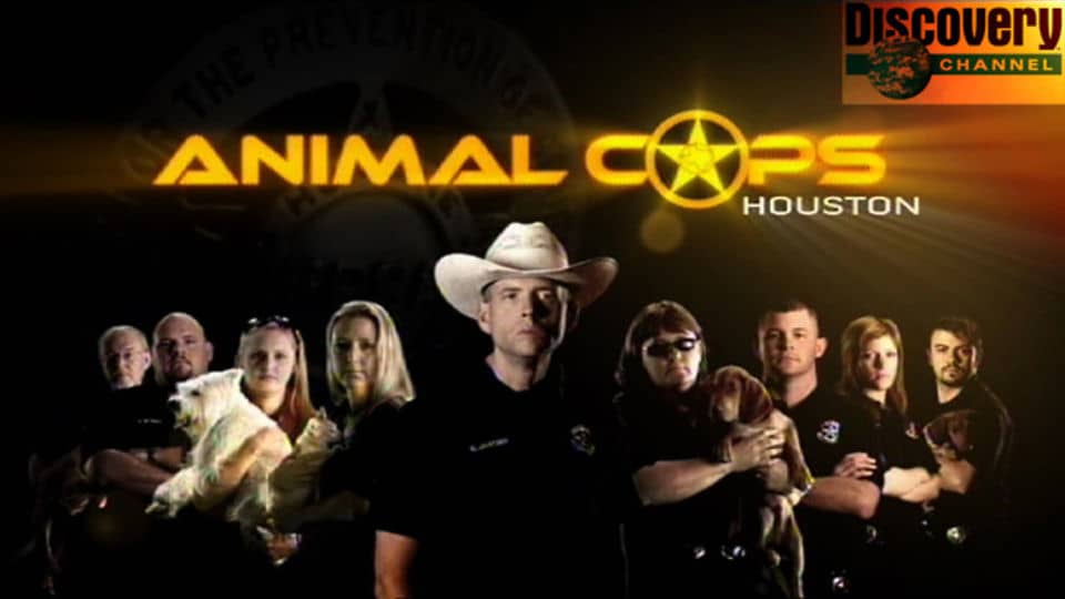Animal Cops Houston cat hoarder on Vimeo