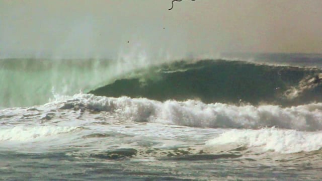 Hector de La Jolla from Jack Chellemi