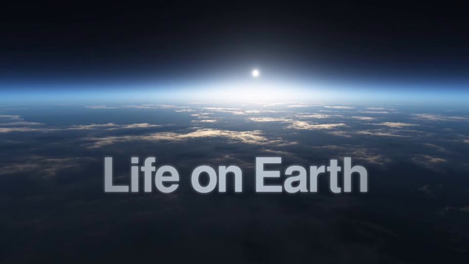 Life on Earth